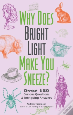 Capa do artigo Why Does Bright Light Make You Sneeze?