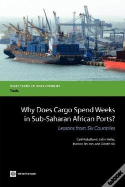Capa do artigo Why Does Cargo Spend Weeks In Sub-Saharan African Ports?