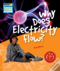 Capa do artigo Why Does Electricity Flow Level 6 Factbo