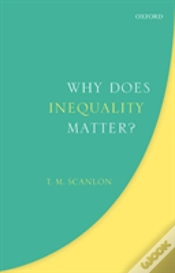 Capa do artigo Why Does Inequality Matter?