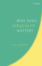 Why Does Inequality Matter? - Preview