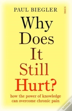 Capa do artigo Why Does It Still Hurt?