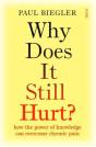 Why Does It Still Hurt? - Preview