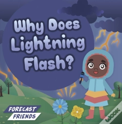 Capa do artigo Why Does Lightning Flash?