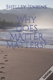 Capa do artigo Why Does Matter Matters?