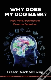 Why Does My Dog Bark?