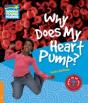Why Does My Heart Pump Level 6 Factbook - Preview