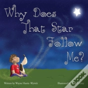 Capa do artigo Why Does That Star Follow Me?