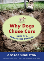 Why Dogs Chase Cars - Preview