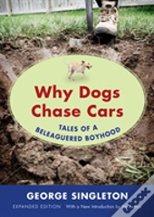 Why Dogs Chase Cars