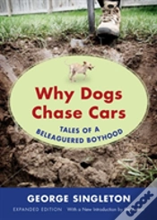 Capa do artigo Why Dogs Chase Cars