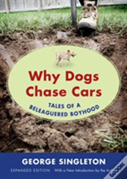 Capa do artigo Why Dogs Chase Cars