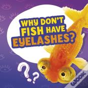 Why Don'T Fish Have Eyelashes?