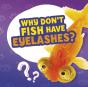 Why Don'T Fish Have Eyelashes? - Preview