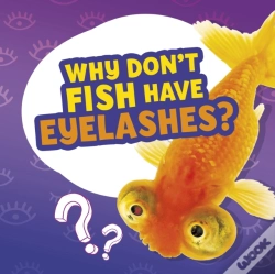 Capa do artigo Why Don'T Fish Have Eyelashes?