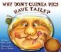 Why Dont Guinea Pigs Have Tails - Preview