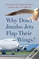 Why Don'T Jumbo Jets Flap Their Wings?