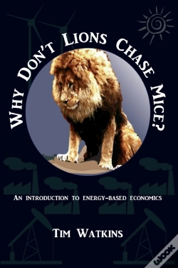 Capa do artigo Why Don'T Lions Chase Mice?