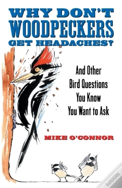 Capa do artigo Why Don'T Woodpeckers Get Headaches?