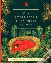 Why Evergreens Keep Their Leaves
