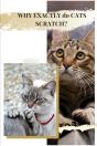 Why Exactly Dо Cats Scratch? - Preview