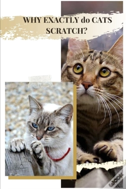 Capa do artigo Why Exactly Dо Cats Scratch?