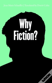Capa do artigo Why Fiction?