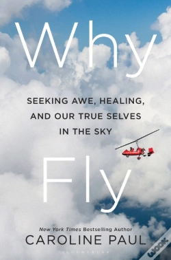 Capa do artigo Why Fly
