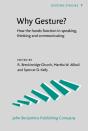 Why Gesture? - Preview