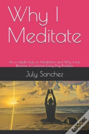 Capa do artigo Why I Meditate
