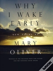 Capa do artigo Why I Wake Early