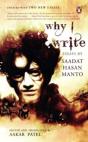 Why I Write - Preview