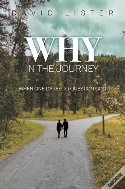 Capa do artigo Why In The Journey