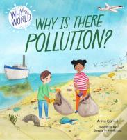 Why In The World: Why Is There Pollution?