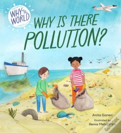 Capa do artigo Why In The World: Why Is There Pollution?