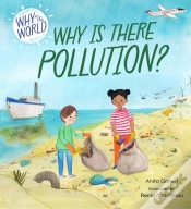 Capa do artigo Why In The World: Why Is There Pollution?