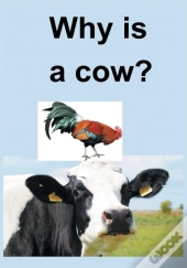 Why Is A Cow?