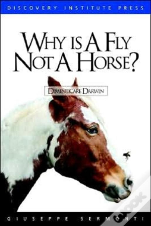 Why Is A Fly Not A Horse?