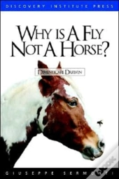 Why Is A Fly Not A Horse?