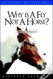 Capa do artigo Why Is A Fly Not A Horse?