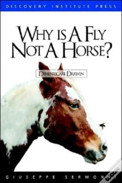 Capa do artigo Why Is A Fly Not A Horse?