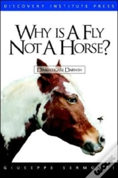 Why Is A Fly Not A Horse?