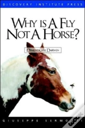 Capa do artigo Why Is A Fly Not A Horse?