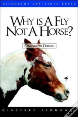 Capa do artigo Why Is A Fly Not A Horse?