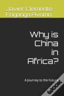Why Is China In Africa?