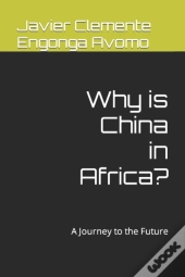 Why Is China In Africa?
