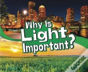 Capa do artigo Why Is Light Important?