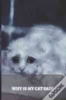 Why Is My Cat Sad?