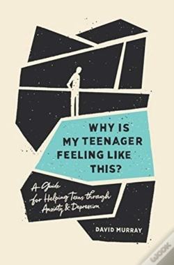Capa do artigo Why Is My Teenager Feeling Like This?