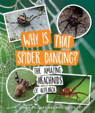 Why Is That Spider Dancing?
